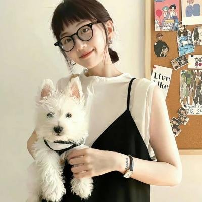 梅花档案